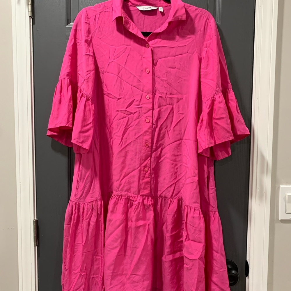 Pink Ruffle Sleeve Dress
